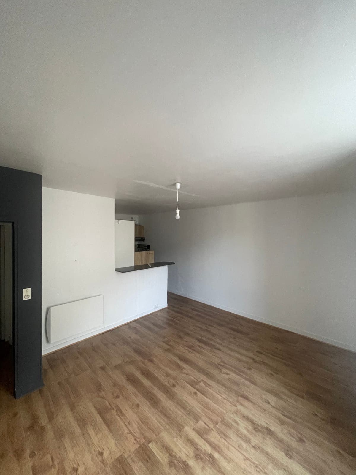 Rénovation d'appartement (sol et peinture) par Artisans de France